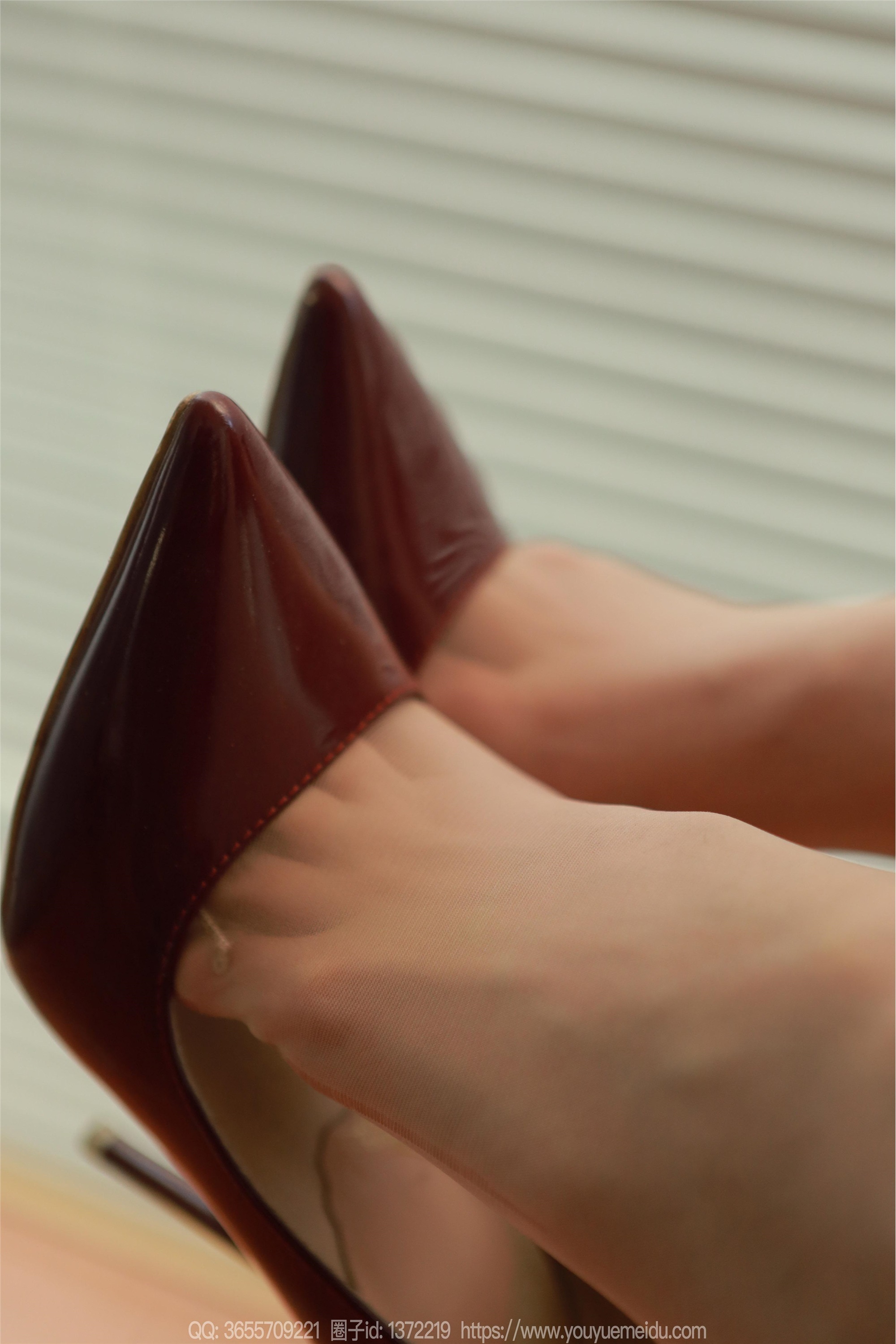 IESS异思趣向  2024.12.18 丝享家 1927 团团《美味车厘子》